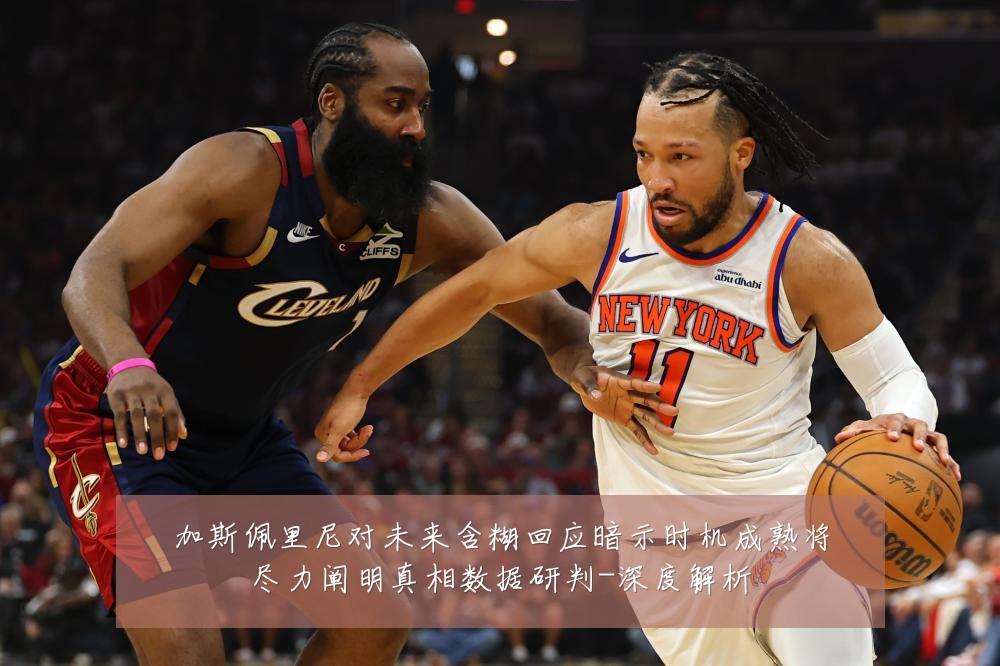 加斯佩里尼对未来含糊回应暗示时机成熟将尽力阐明真相数据研判-深度解析